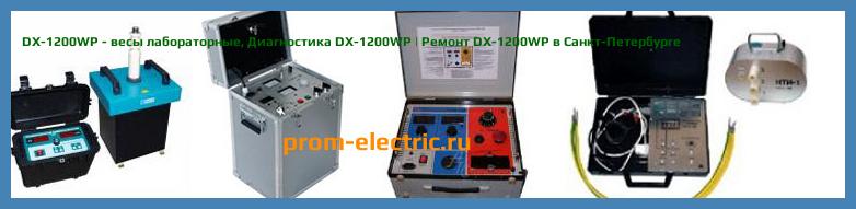 Image [РЕМОНТ] DX-1200WP - весы лабораторные - Диагностика DX-1200WP - Ремонт DX-1200WP